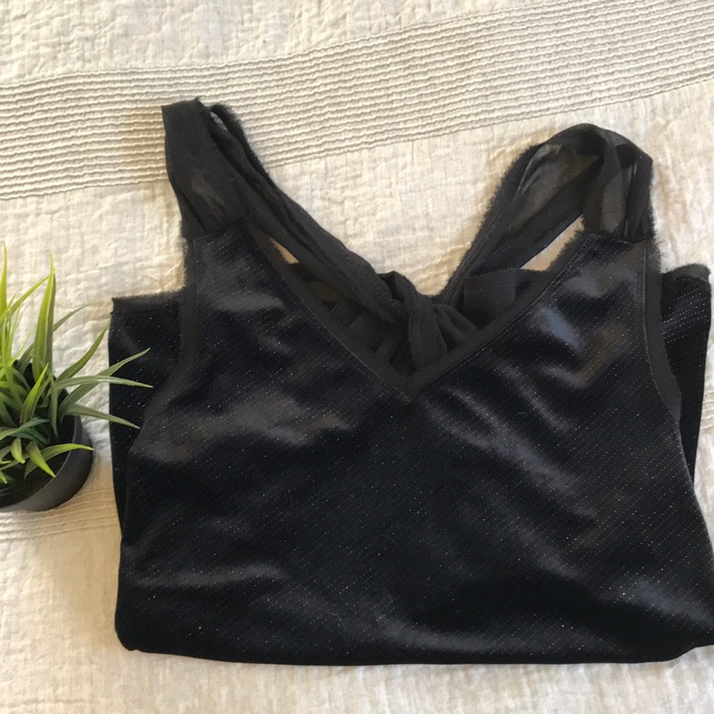 NWT Zara Velvet and Sheer Going-Out Top